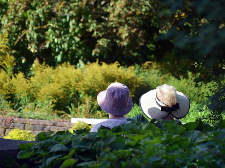 Pärchen auf einer Bank im Grünen.